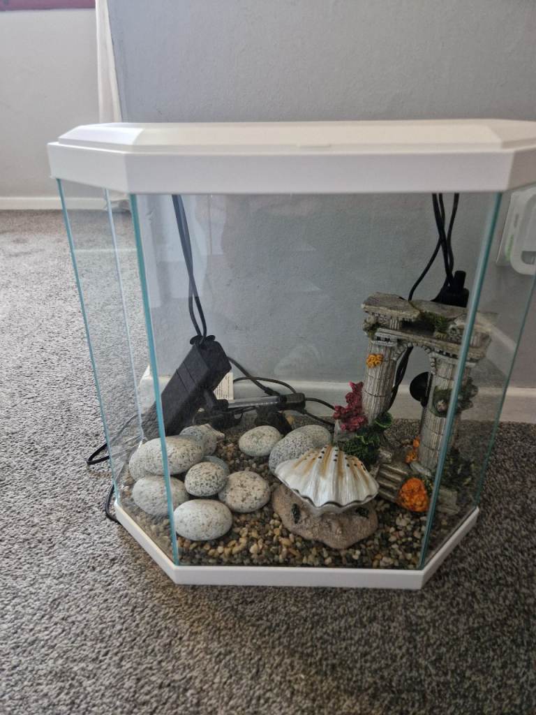 Reptile / Fish Tank – Unused – £70 Ono