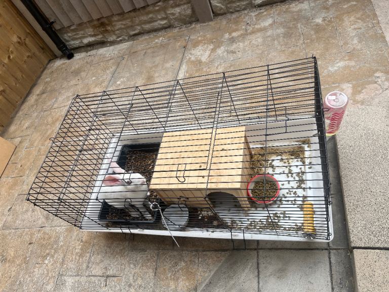 Rabbit cage and Hut 