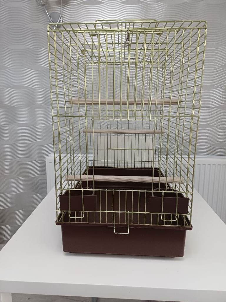 Bird Cage