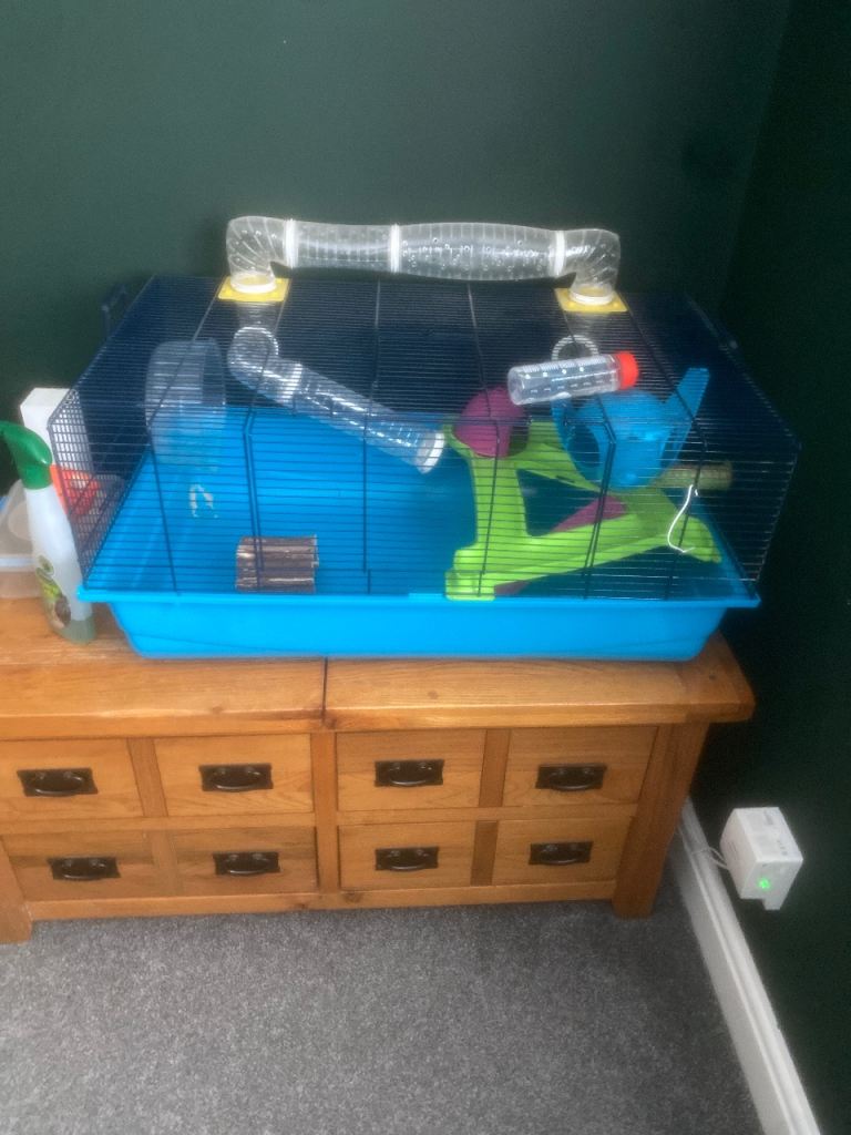 Hamster Cage with Tunnels, Wheel, and Water Bottle