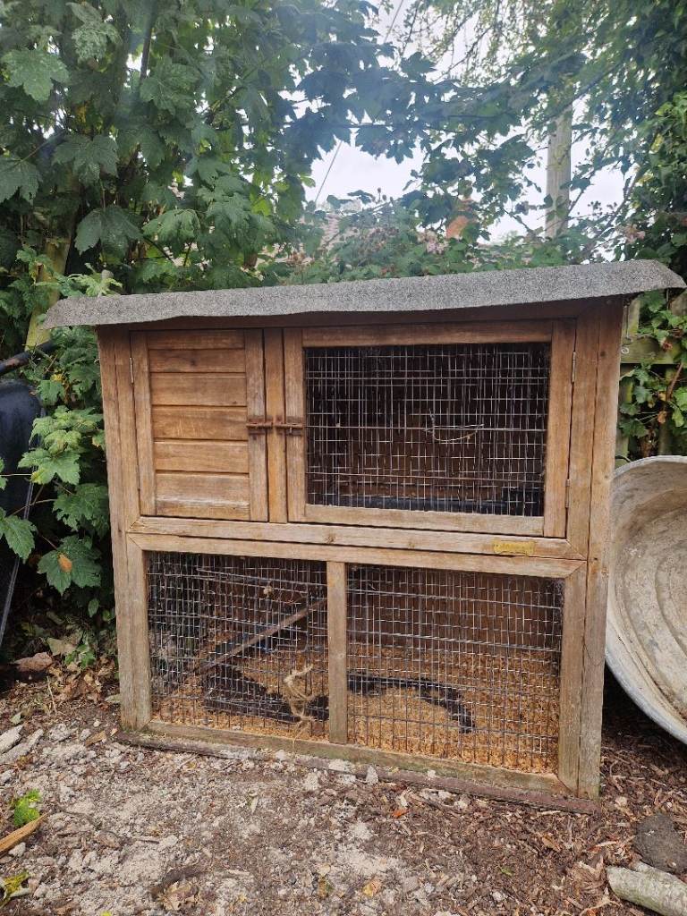 Rabbit hutch