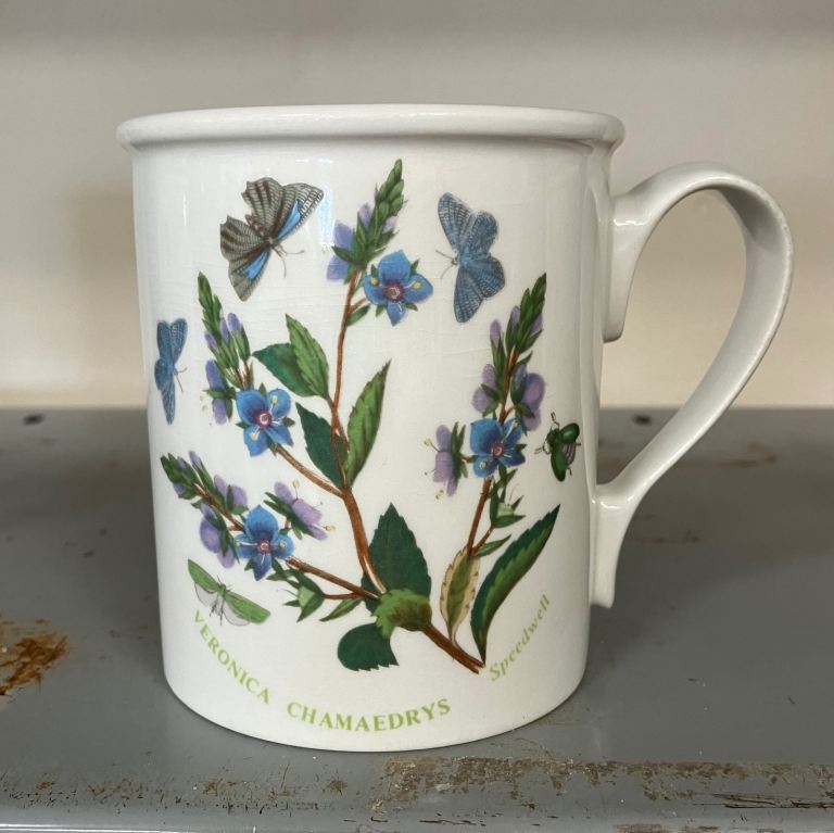 Portmeiron Mug - Speedwell