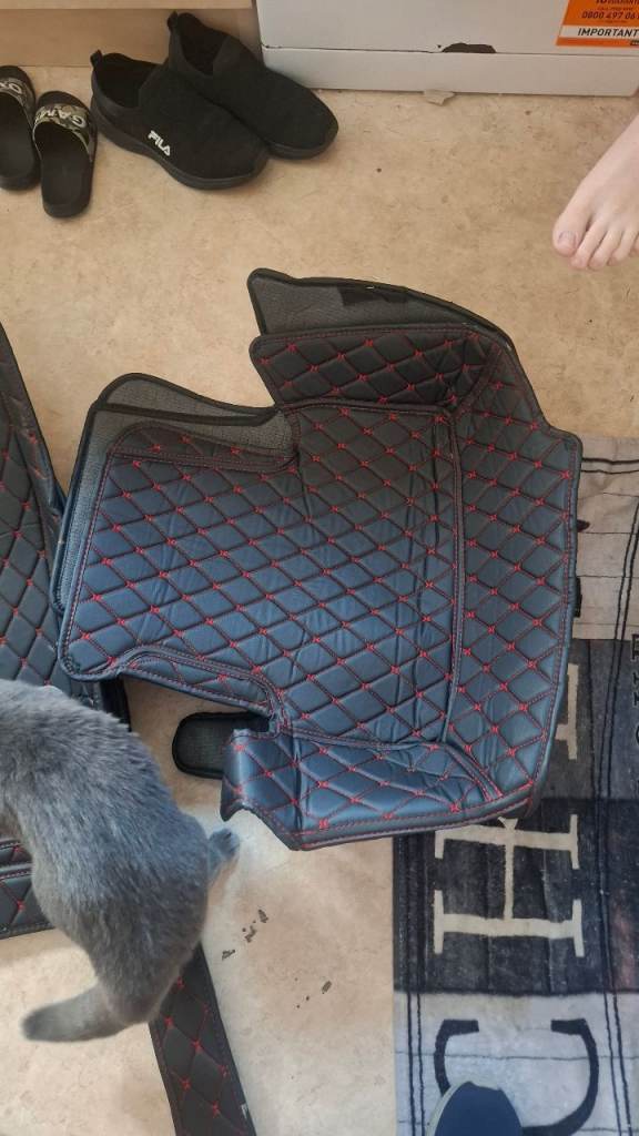 Peugeot 308 17 plate mats