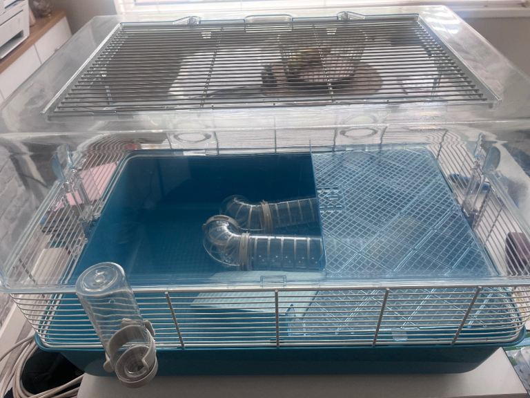 Hamster cage 