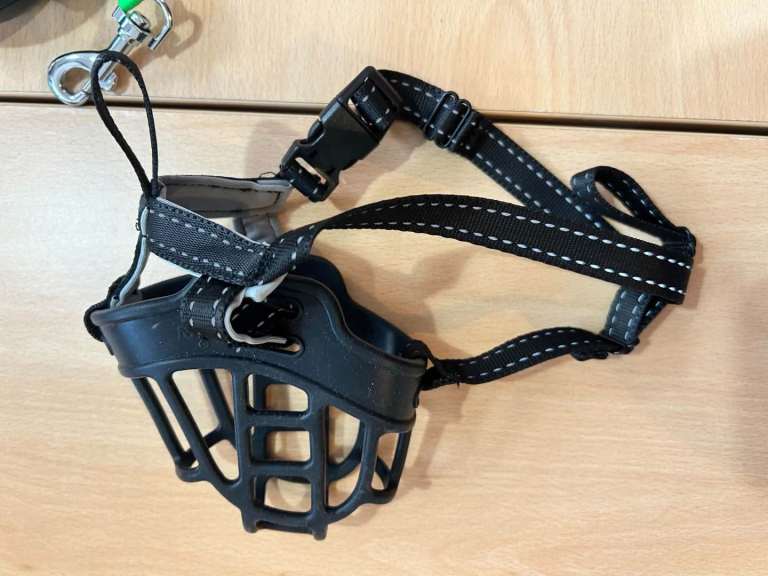 Dog Muzzle