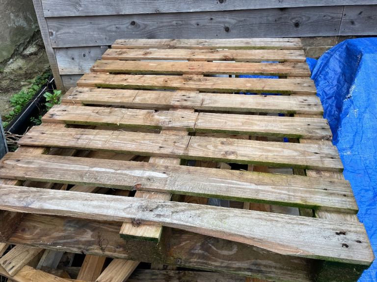 Pallets- free