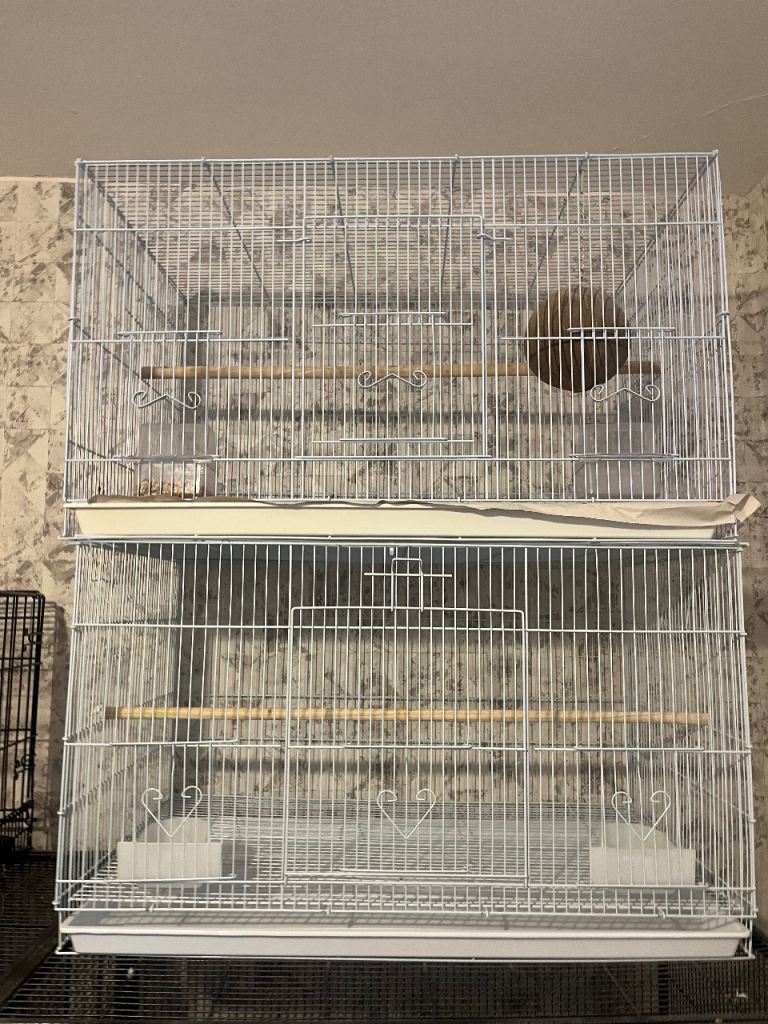 New bird cages 