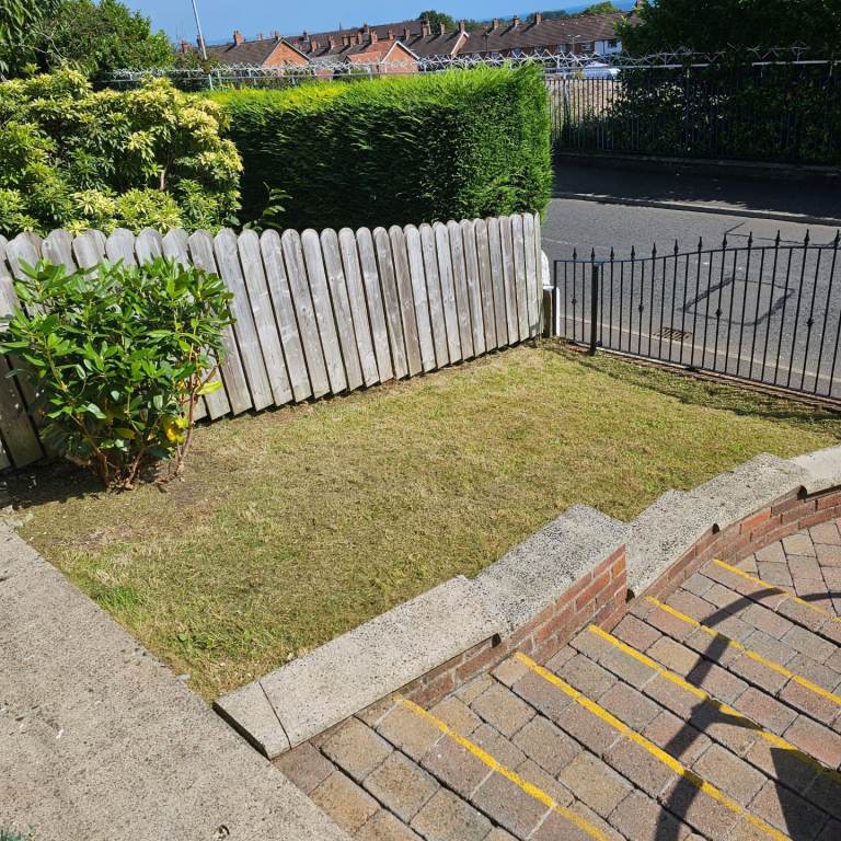 Gardening,Powerwashing,softwashing,patios