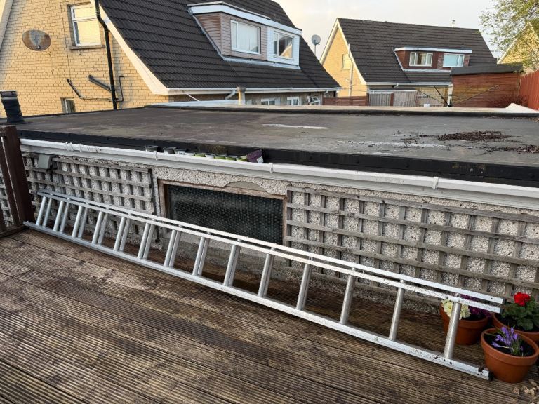 Lyte double extension ladder