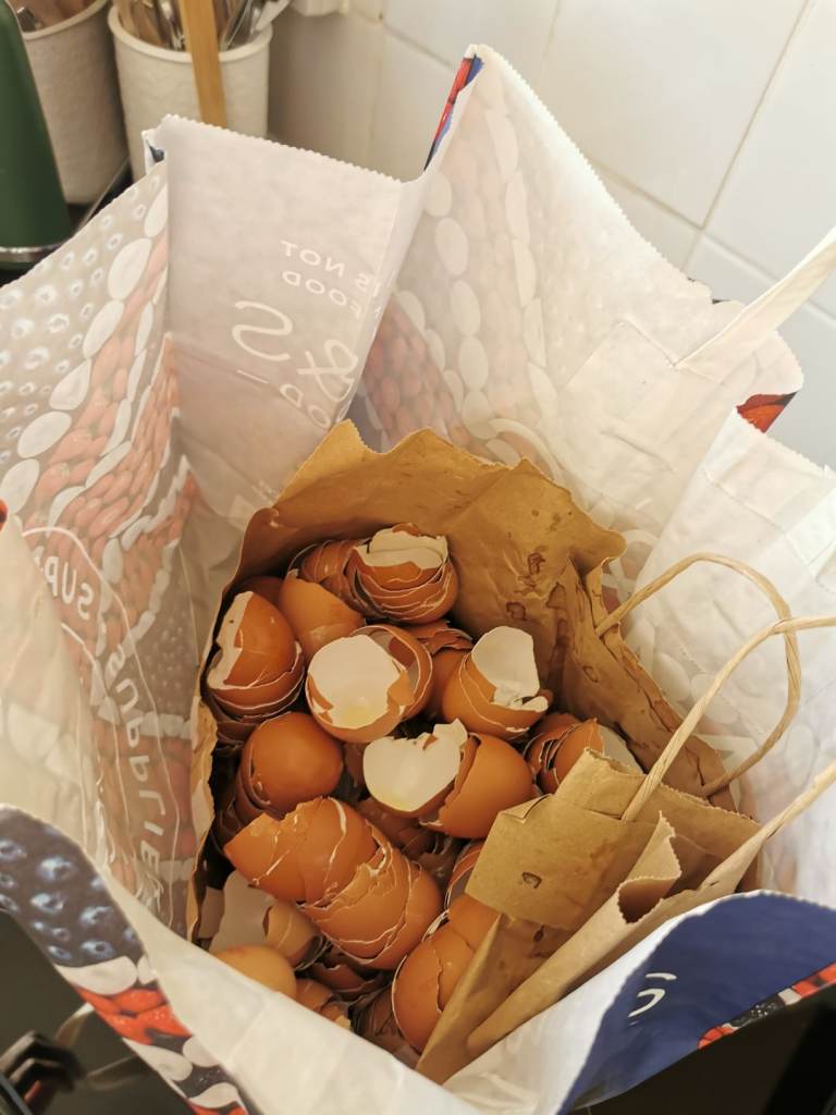 Free Freerange Egg shells for gardening 