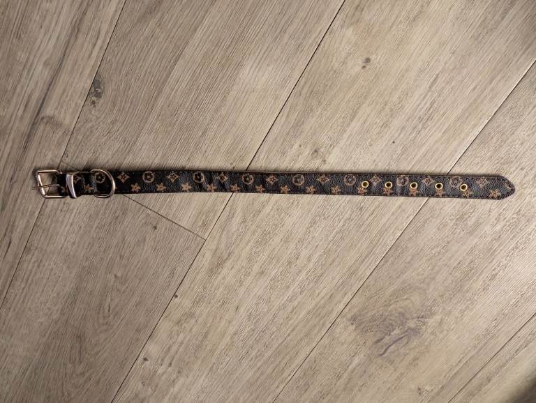 FREE dog collar