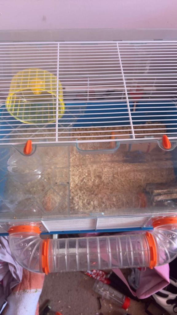 Hamster cage