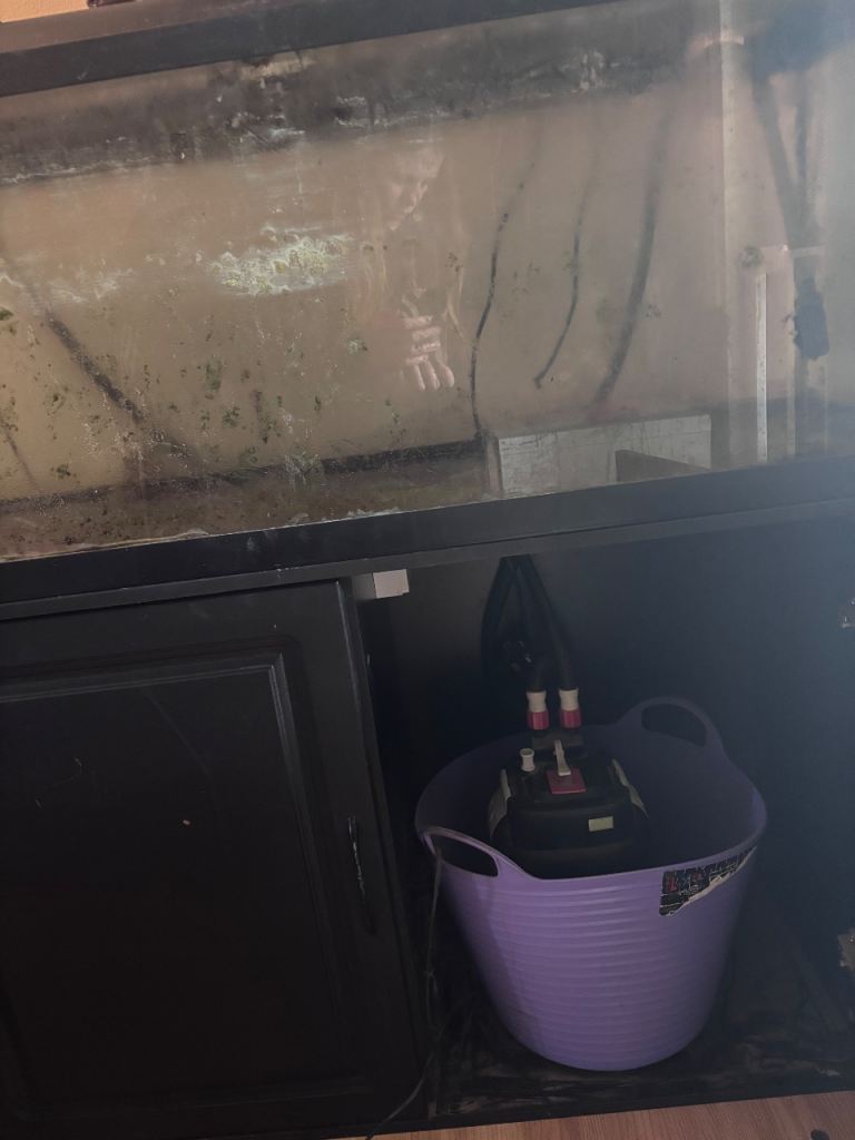 Fish tank and stand