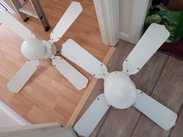 Ceiling Fan with light