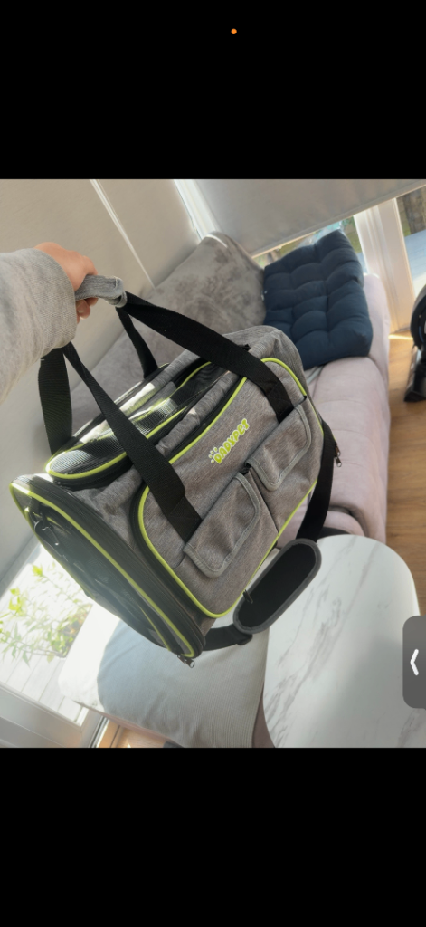 Pet carrier 