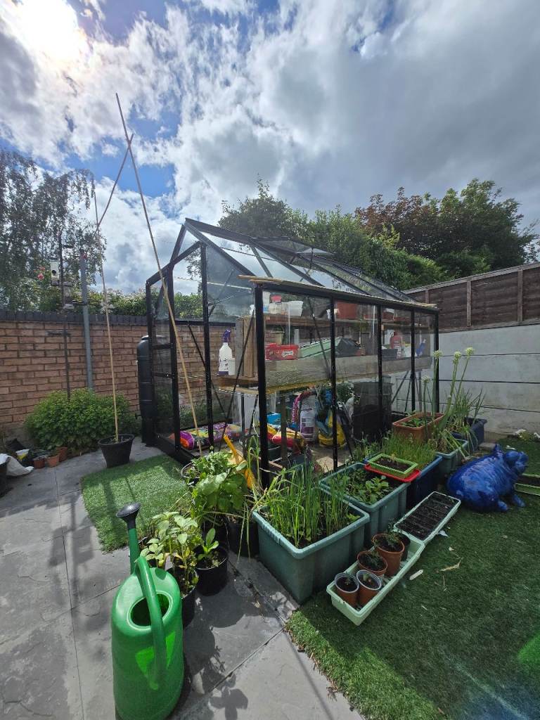 Green house 