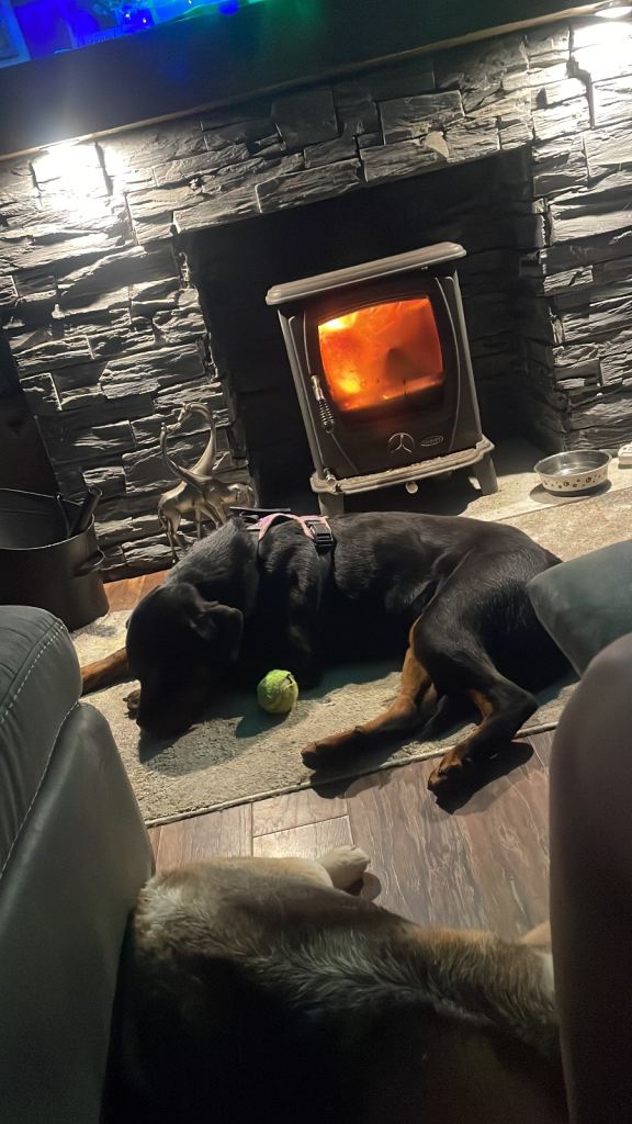 Kc Rottweiler 