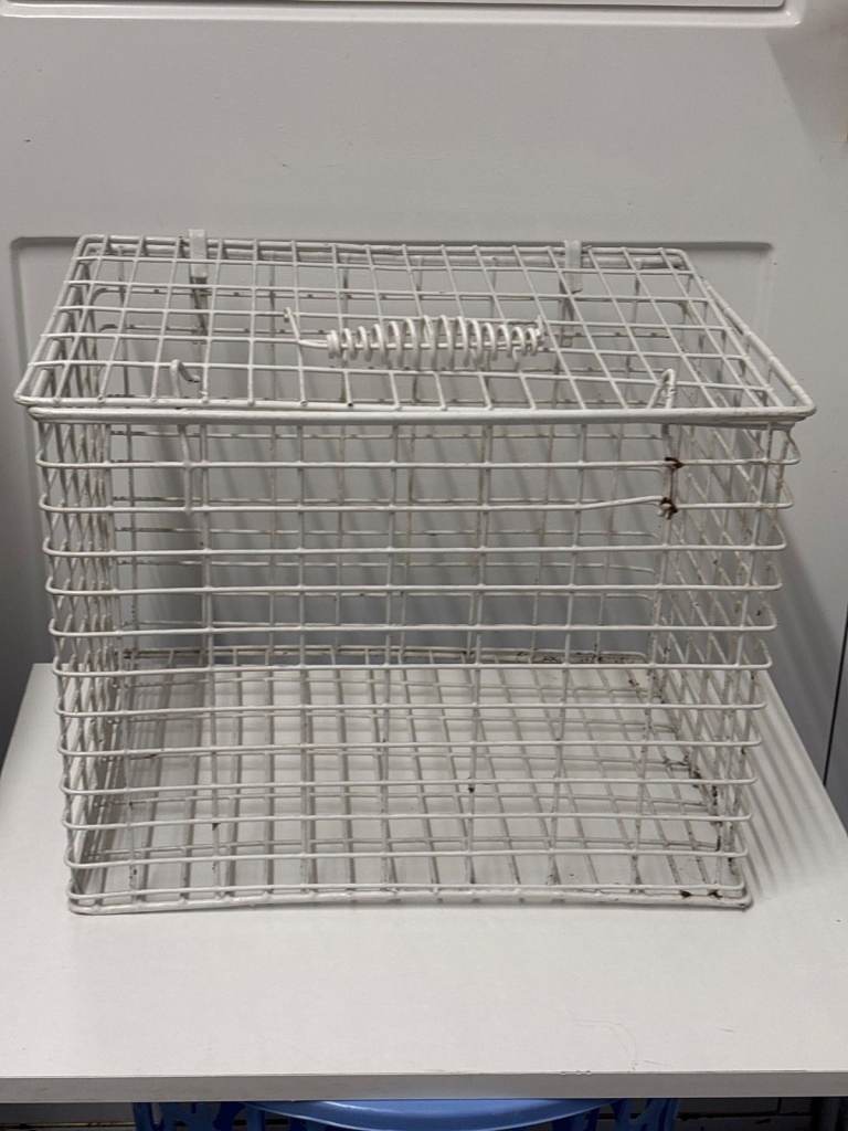 PET CARRIER WHITE METAL CAGE WITH CARRY HANDLE (H) 12.5"x (W) 16.5"x(D) 12.5"