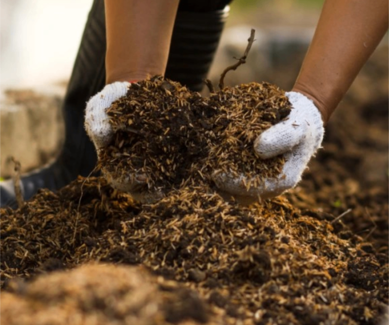 Organic Rich Compost Bags 🌿🌸