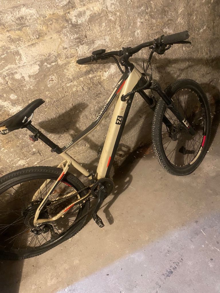 Ezego trail destroyer bike