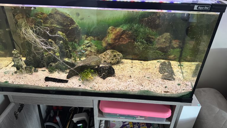 Aqua One Horizon 130L Aquarium & Cabinet – Complete Setup