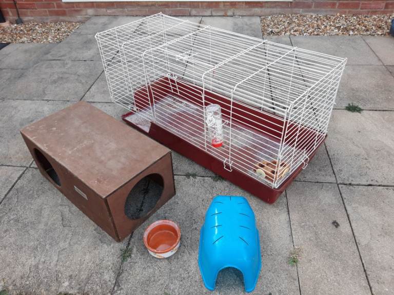 Rabbit/Guinea Pig Hutch, Wooden Den/House, 'Carrot' Motif Ceramic Food Bowl, Plastic Den/Hideaway 