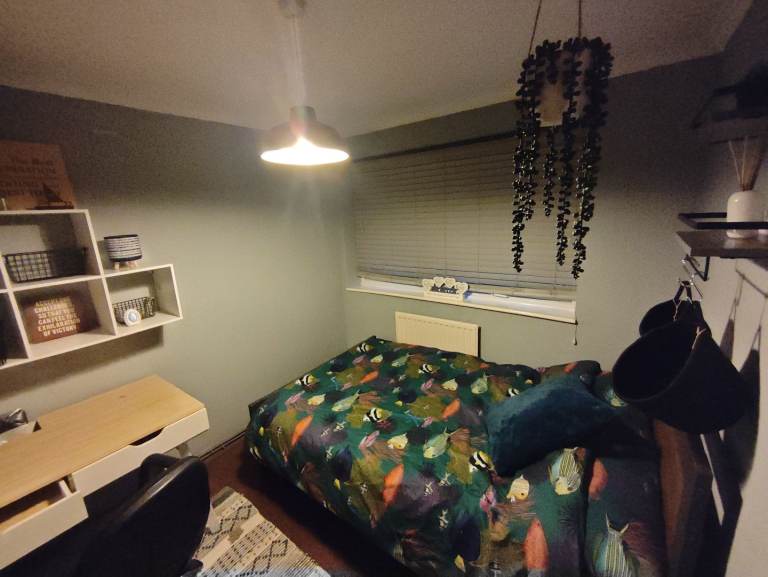 Comfortable Double Room to Rent Now