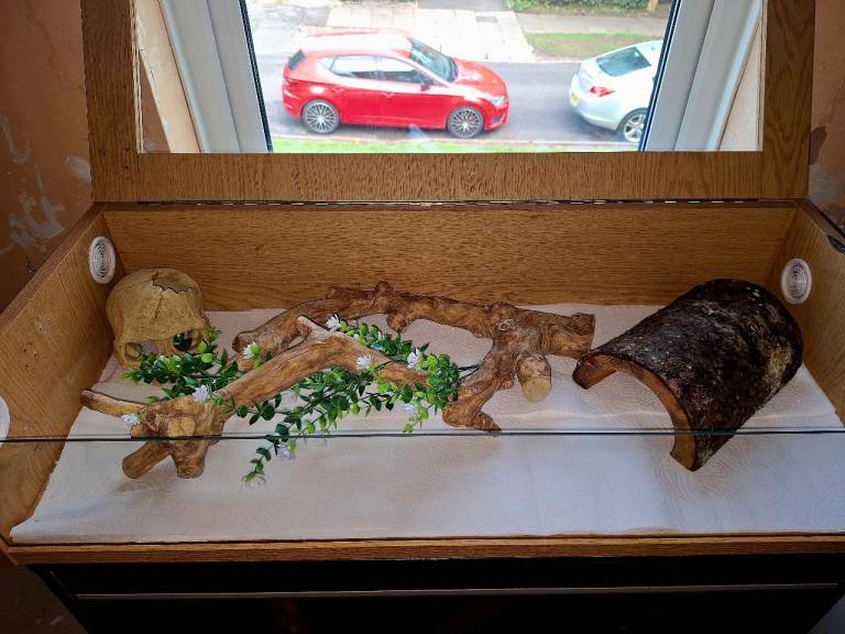 Wooden Vivarium with Accessories – Good Condition