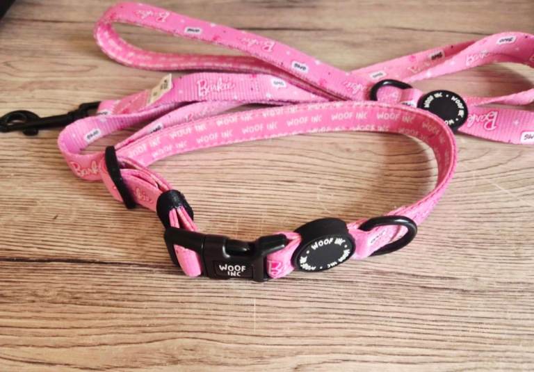Dog collar & lead size Medium