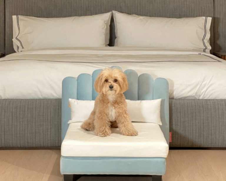 Hooman luxor dog beds with mattress and pillows 