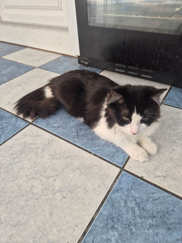 Rehoming