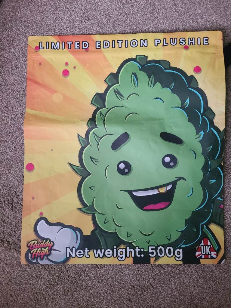 Buddy high 