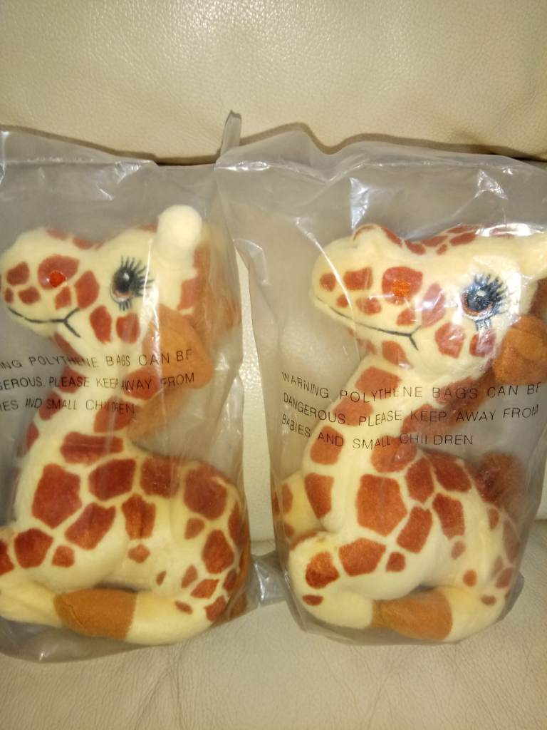 Two brand new giraffes
