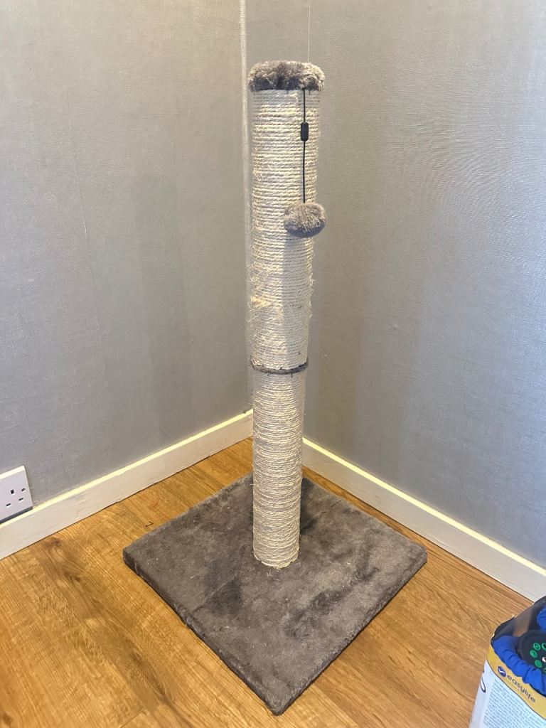 Cat scratching post 