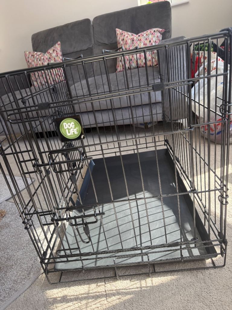 Folding Metal Dog Crate