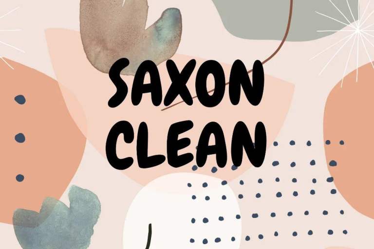 Cleaning business for sale 