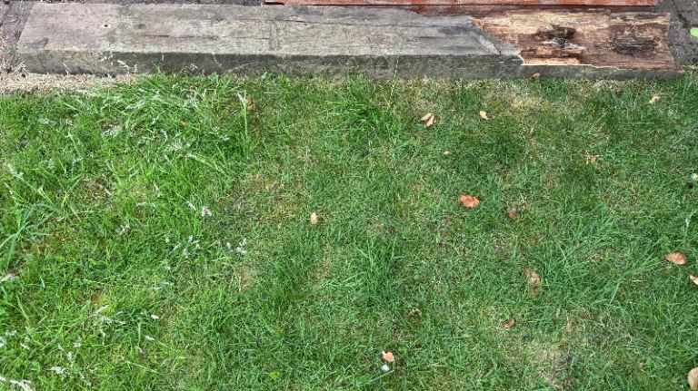 Old Garden Timber / Wooden Sleeper Beam (2.4m) – Ideal for Firewood, Allotments, or Rustic Projects