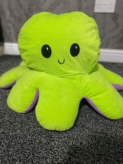 image for Large reversible plush octopus 🐙