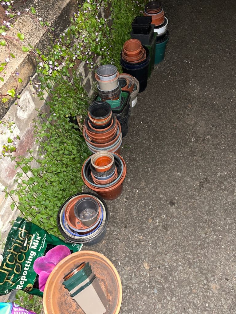 Free plant pots and orchid compost 