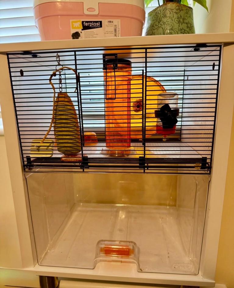 Omlet cute hamster & Gerbal cage