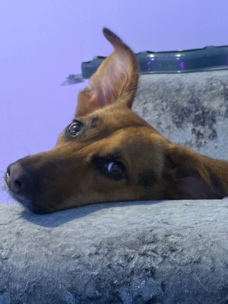 Looking for best home