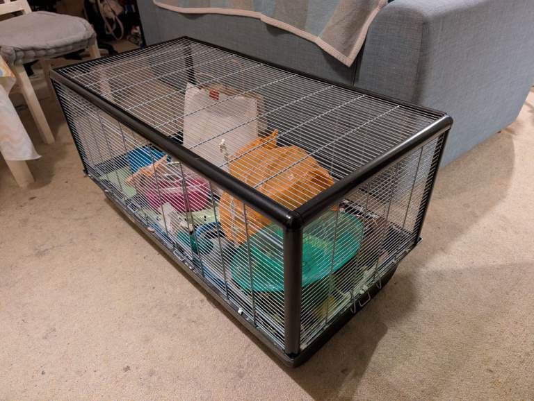 Hamster cage (large)