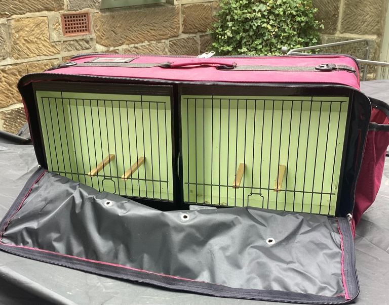 Norwich canary show cages