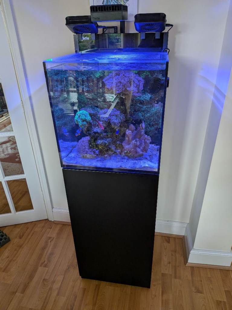 Red sea Max nano 75ltr aquarium