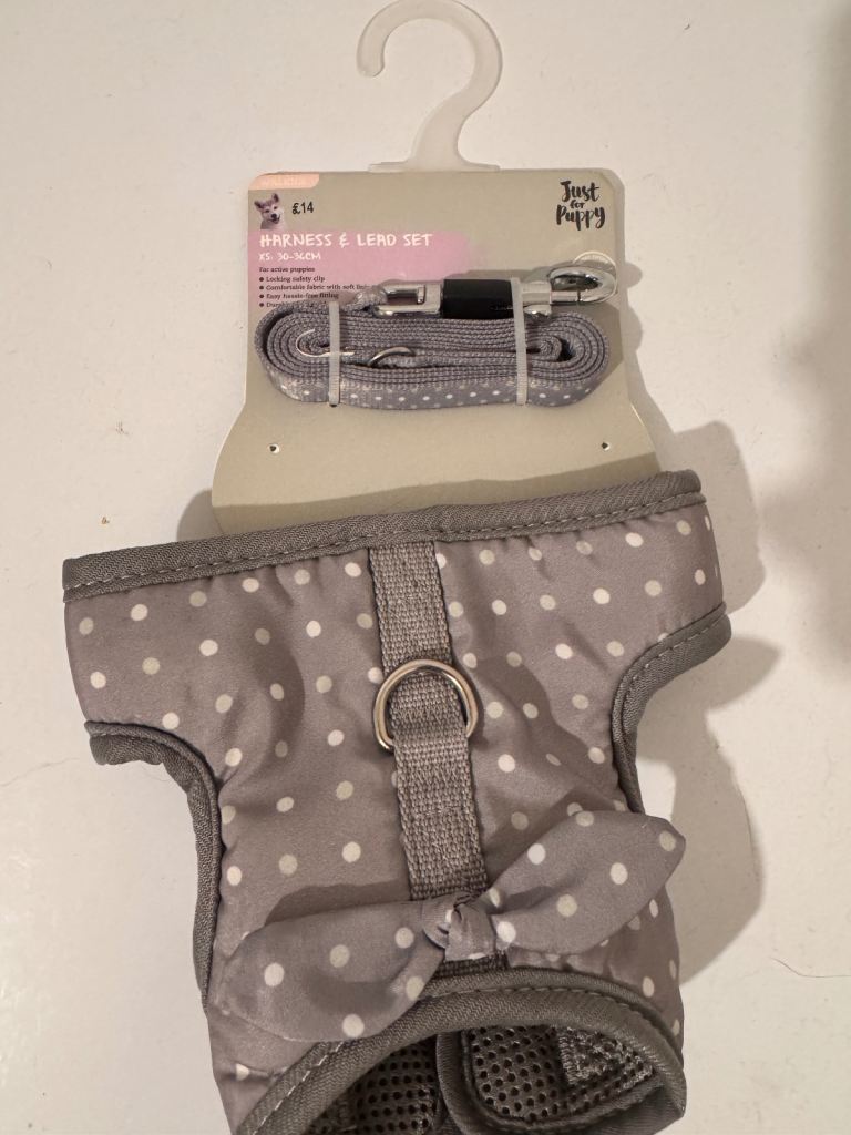 Puppy harness and lead