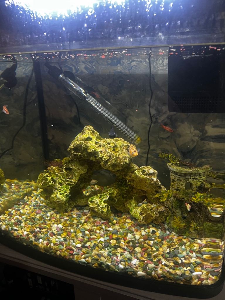 94L tropical aquarium with fish inside