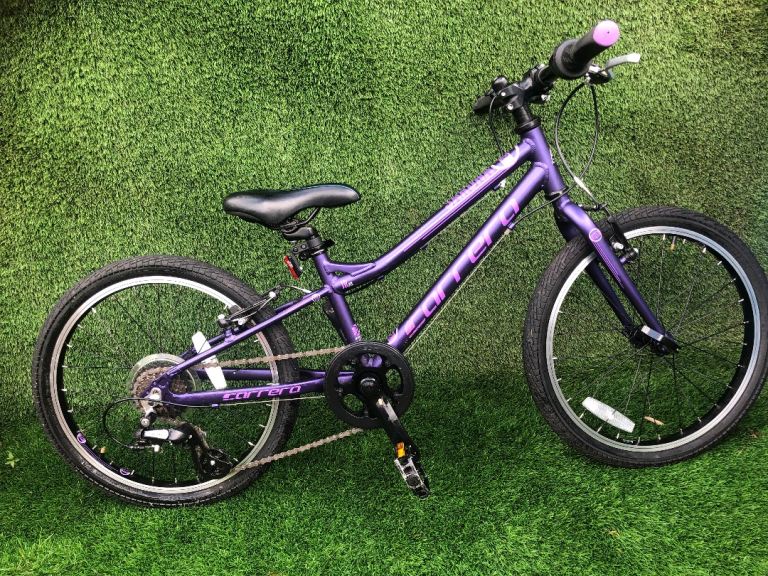 Junior Carrera Bike age 6-9
