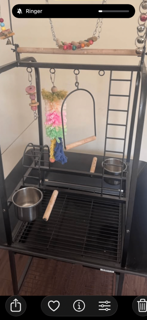Parrot / bird play stand / gym