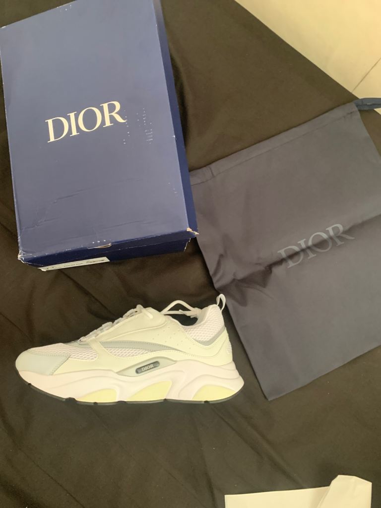 Dior b22s