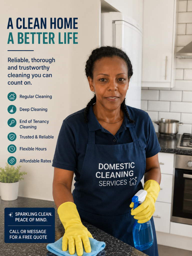 DOMESTIC CLEANING SERVICES